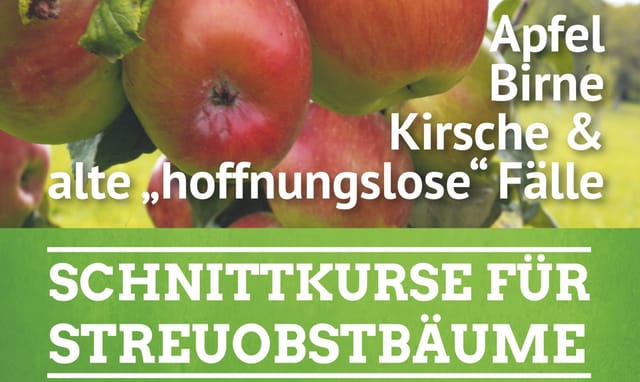 Schnittkurse für Streuobstbäume