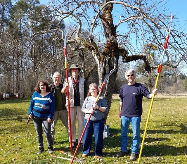 Abschluss der Schnittkurse für Streuobstbäume